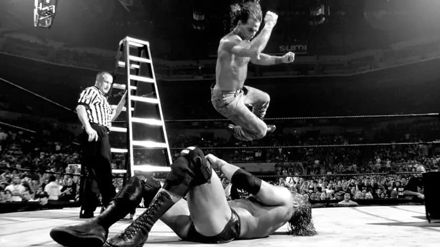 9300 shawn michaels triple h summerslam 2002