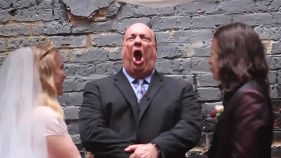 paul heyman