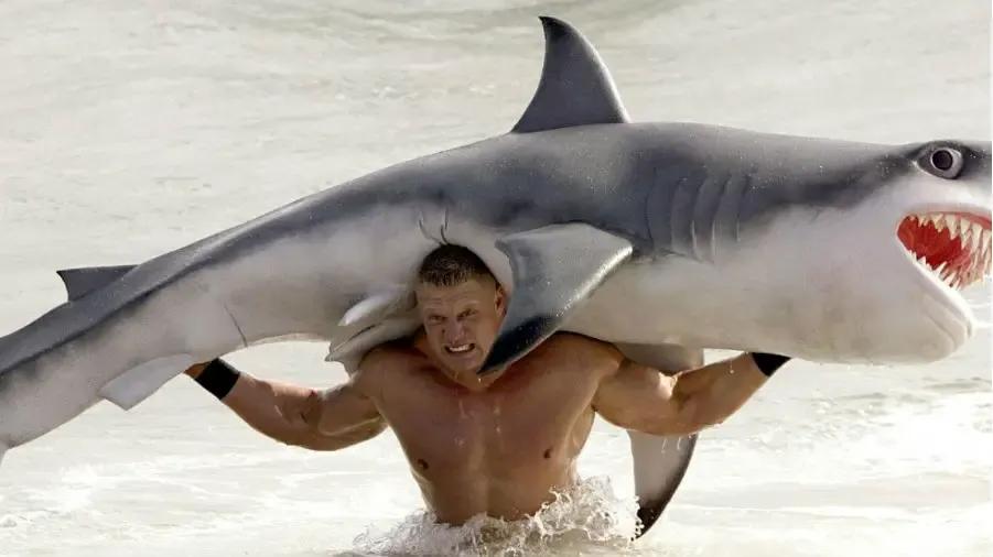 brock lesnar shark