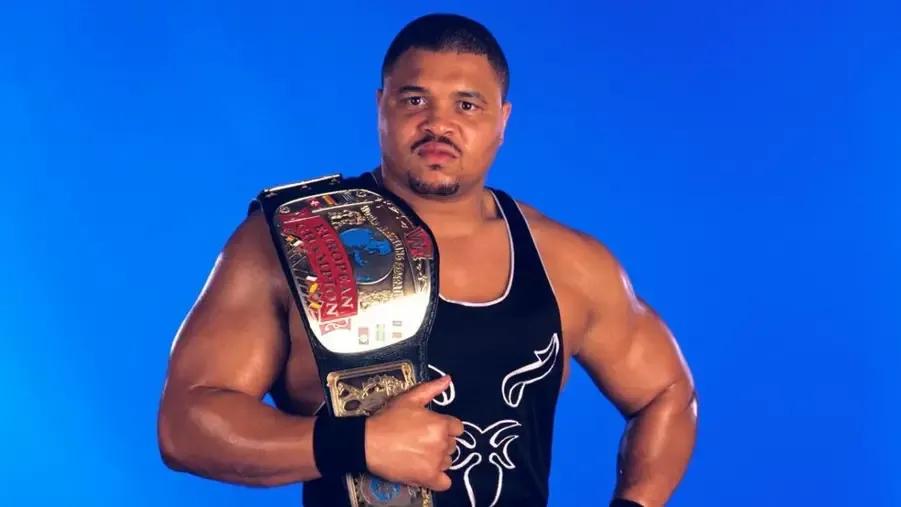 3. d lo brown as wwe european champion