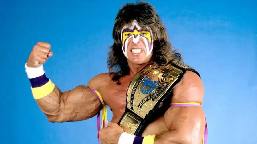 620aca420ec7d92def535f7ac0447b78306dc868 ultimate warrior 1