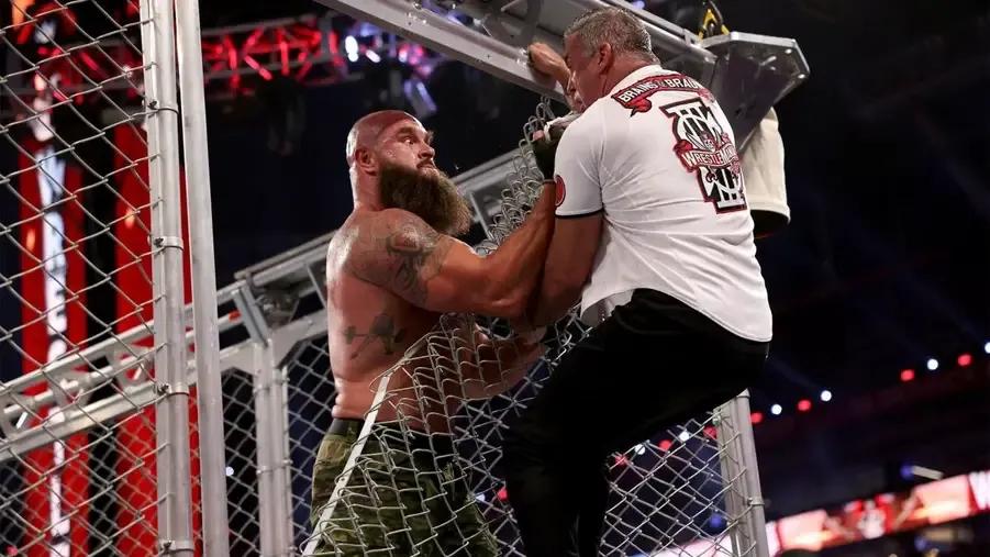 Braun Strowman Shane McMahon cage.jpg