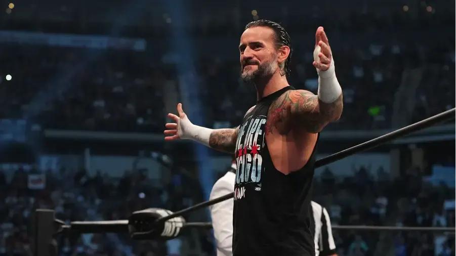 CM Punk All Out wings open.jpg