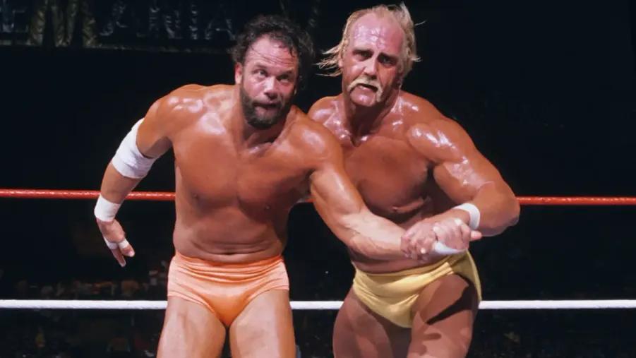 Hulk Hogan Randy Savage WrestleMania V.jpg