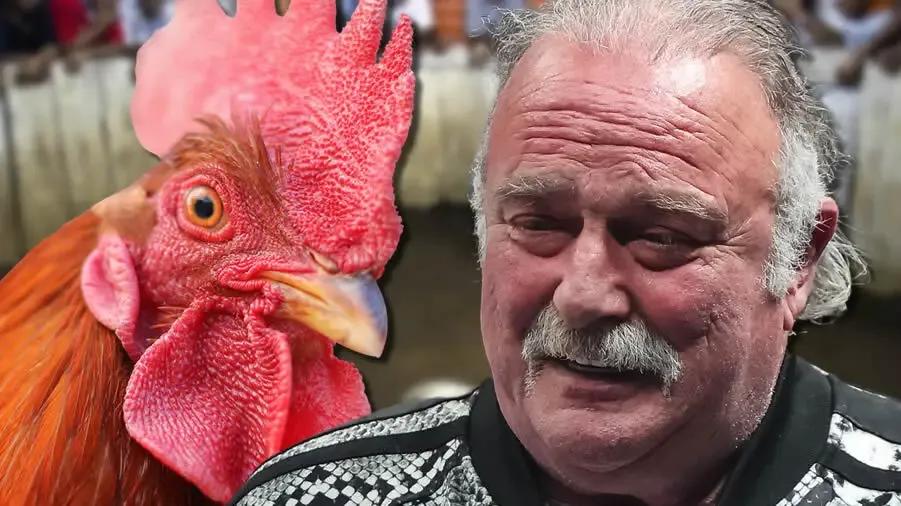 Jake Roberts chicken graphic.jpg