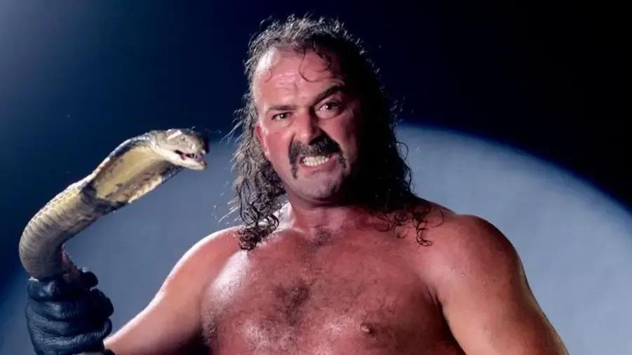 Jake the snake roberts 1