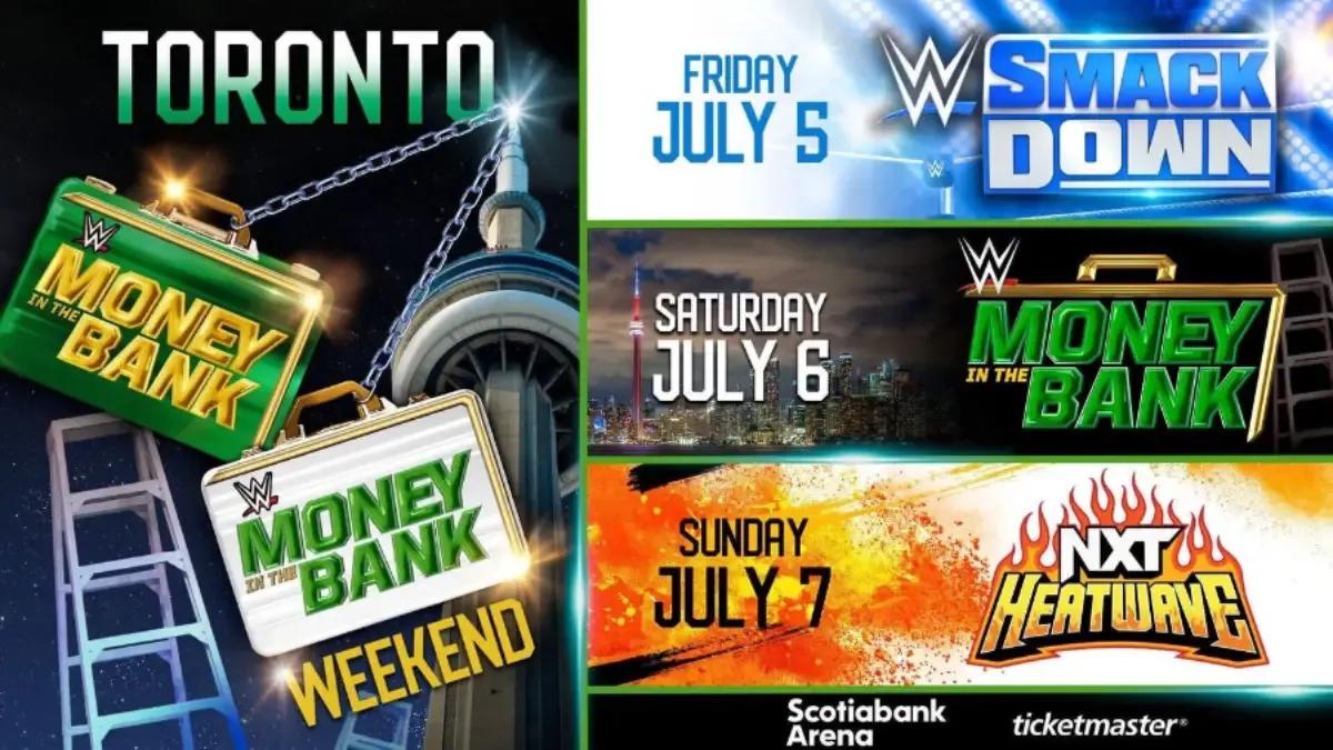 Money in the Bank 2024 graphic.jpg