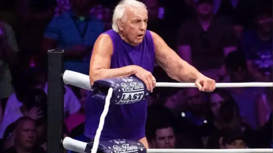 Ric Flair Last Match on apron.jpg