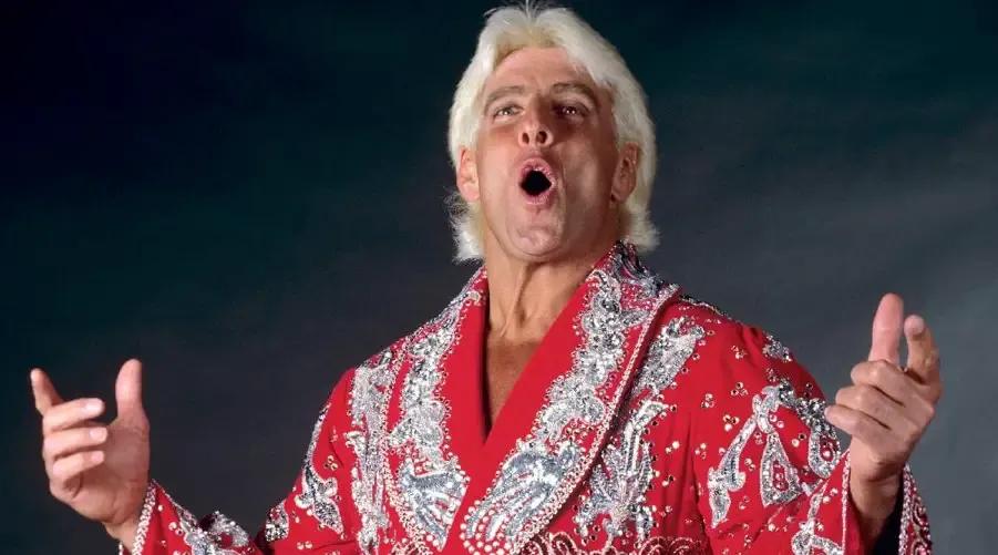 Ric Flair WWE robe.jpg