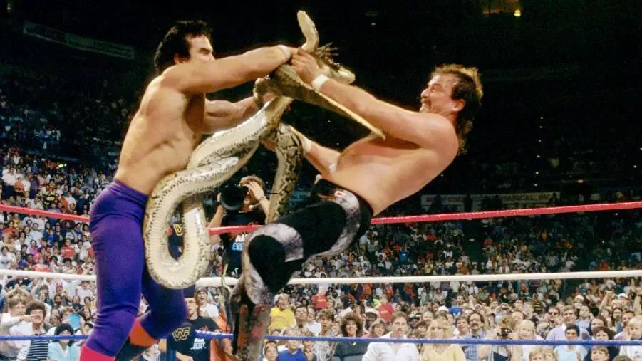 Ricky steamboat jake roberts the dragon the snake