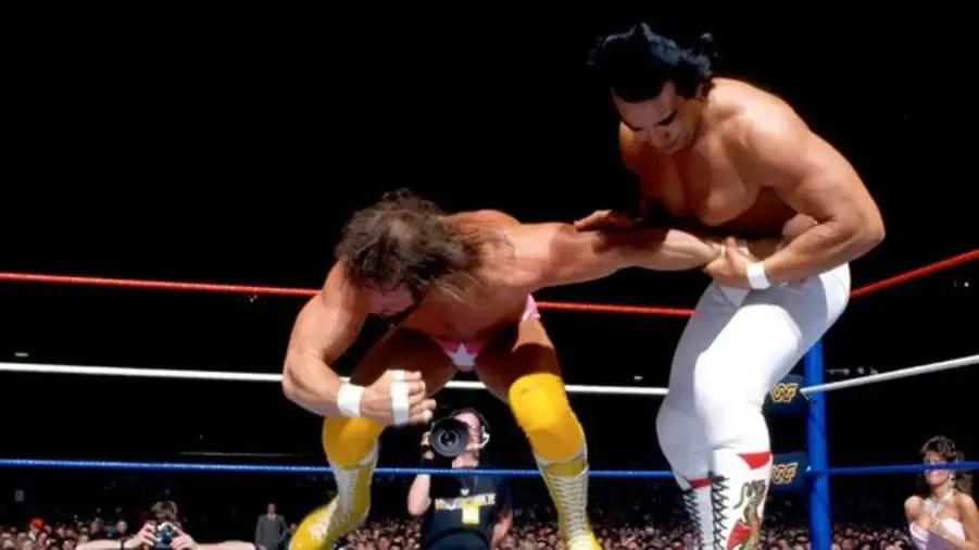 Savage steamboat wrestlemania 3