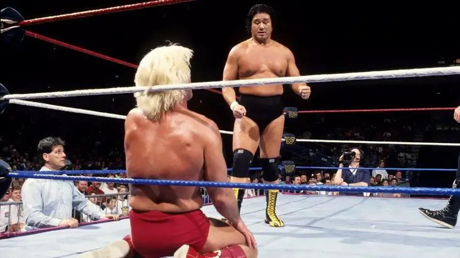 Tenryu vs. Flair.jpeg