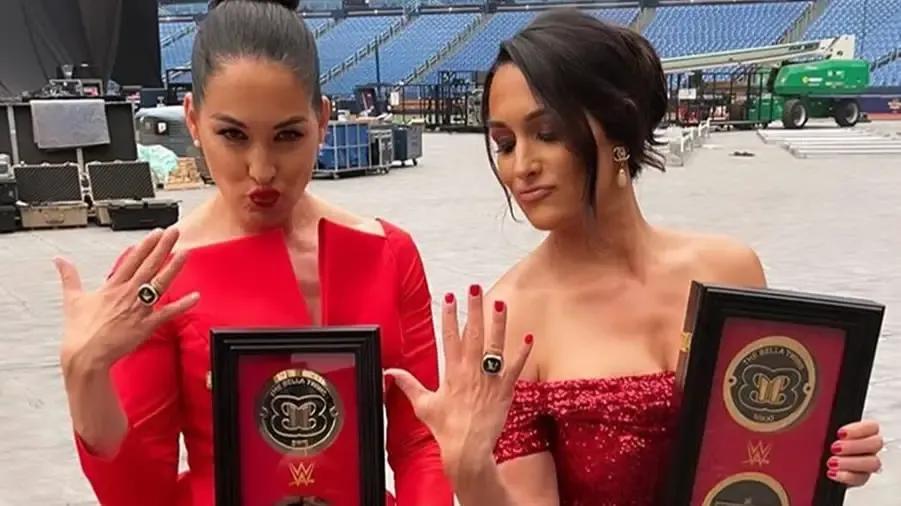 bella twins hall of fame.jpg