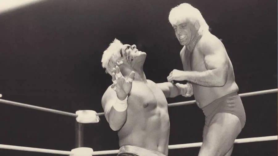 https://cultaholic.com/files/images/3b908ba198433cb3920a0cae8362582b5b7d168d-stoing-ric-flair.jpg