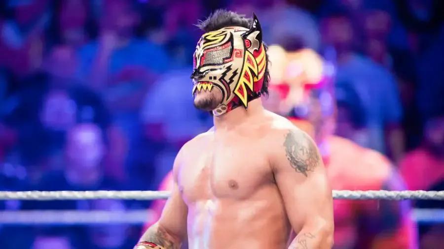 https://cultaholic.com/files/images/b7a5a34782ce1e8c1d0d25a4ab8d8a3589b7ac45-Lince-Dorado.jpg