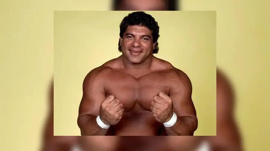 https://cultaholic.com/files/images/beb16a31321d4814846622aadb34190aac8fcbb3-don-muraco.jpg