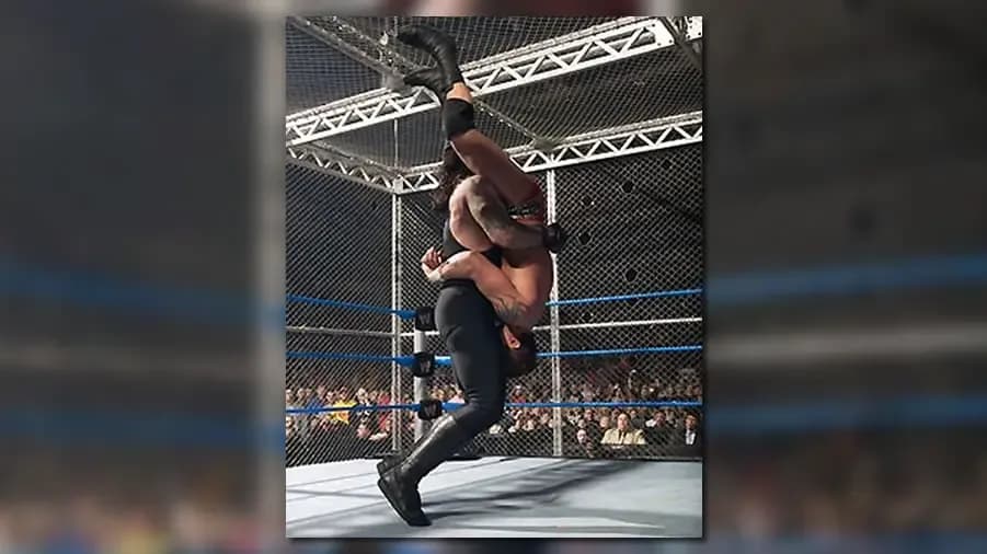 https://cultaholic.com/files/images/1fcb4dc36e5fc1508b6abac689e4b3e1828c3cee-the-undertaker-randy-orton-armageddon-2005-hell-in-a-cell.jpg