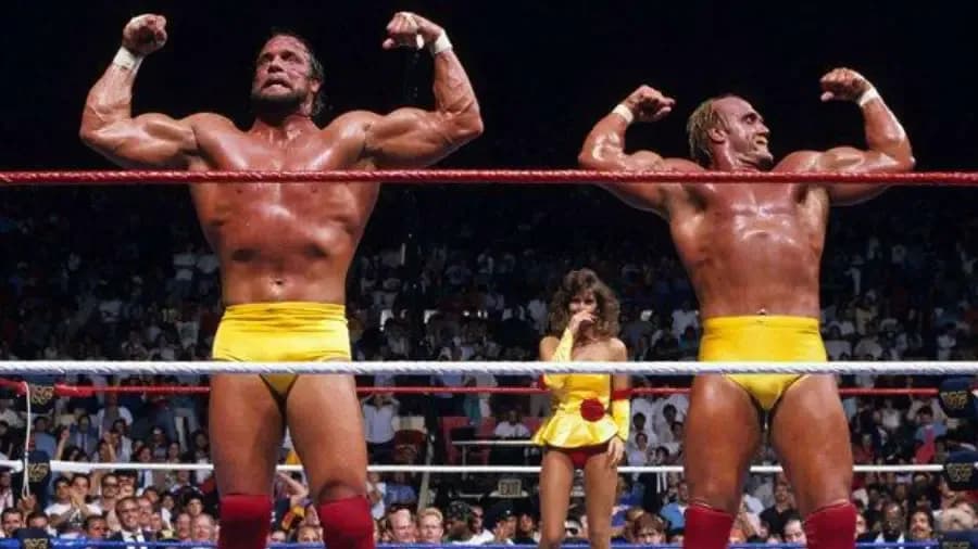 https://cultaholic.com/files/images/51967e359ab83572bcc53744ab275fdc8e1fb706-Randy-Savage-Hulk-Hogan.jpg