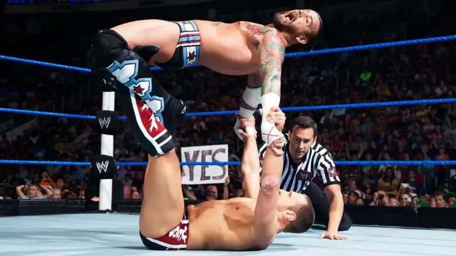 https://cultaholic.com/files/images/dbc24e656c6c1ca87940f7dc9efc7dfeccbdc866-CM-Punk-Daniel-Bryan-1.jpg